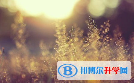 承德2021年中考報考人數