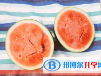 承德2021年中考查詢網