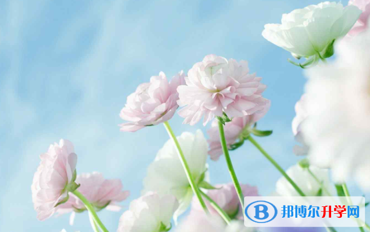 張家口2021年今年中考統招線包括哪些區域
