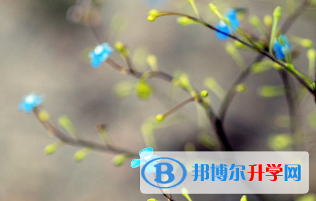 承德2021年中考錄取報名網