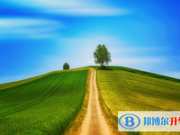 張家口2021年中考的規則