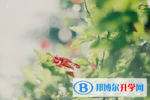 承德2021年中考填志愿統招和調劑