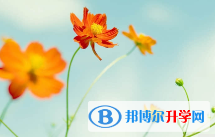 承德2021年中考報名服務平臺