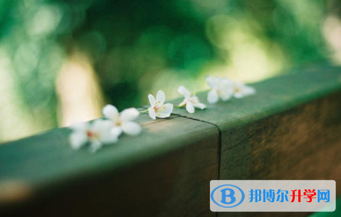 張家口2021年中考志愿如何填報