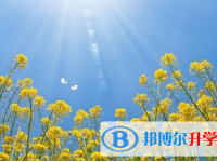 四川2021年中考錄取結果
