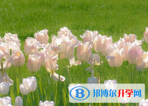 四川2021年中考報名系統網址