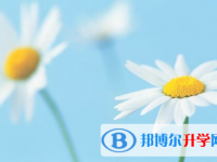 自貢2021年中考報名查詢