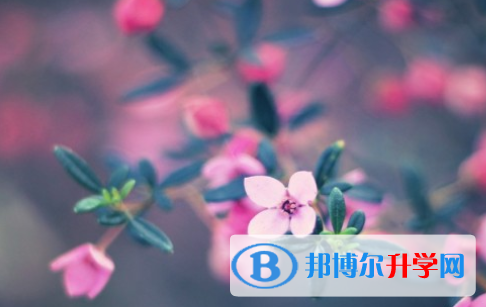 自貢2021年中考報名網站