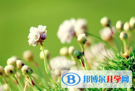 自貢2021年中考報名系統