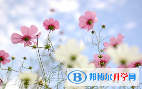 自貢2021年中考網絡登錄