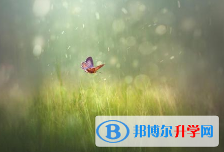 自貢2021年中考報名服務平臺