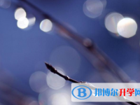 攀枝花2021年中考查詢系統的密碼記不到了怎么辦