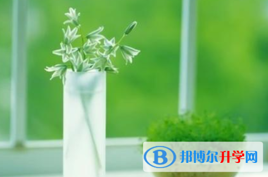 攀枝花2021年中考成績今年怎么這么高