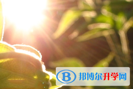 攀枝花2021年中考人數