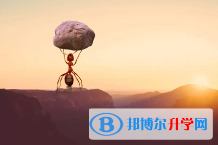 攀枝花2021年中考上的學校
