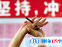 攀枝花2021年中考填志愿統招和調劑