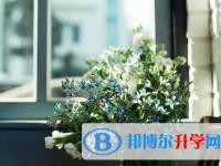 攀枝花2021年中考網上報名系統