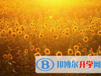 攀枝花2021年中考信息服務平臺