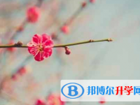 攀枝花2021年中考報名是哪個網站