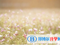 攀枝花2021年中考報名網站登錄
