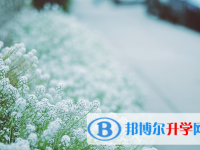攀枝花2021年優志愿中考版