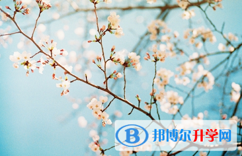 瀘州2021年中考成績一般讀什么學校