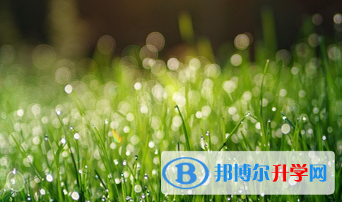 瀘州2021年中考網上報名系統