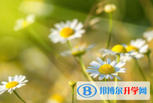 瀘州2021年中考報名是哪個網站