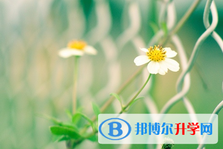 瀘州2021年中考調劑志愿