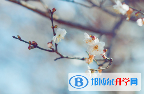德陽2021年查詢中考成績上哪個網站
