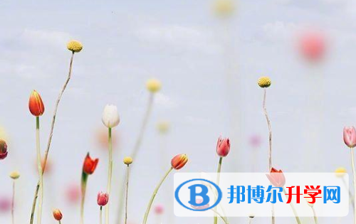 德陽2021年中考成績查詢入口