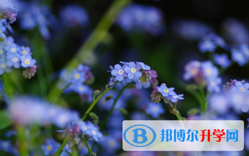 德陽2021年中考成績查詢網址