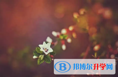 德陽2021年中考網報