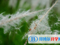 德陽2021年中考沒考好可以復讀嗎