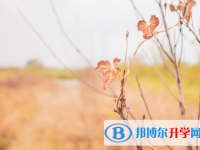 德陽2021年優志愿中考版