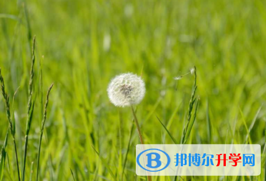 綿陽2021年中考報名需要帶什么