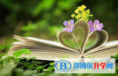 綿陽2021年中考考點