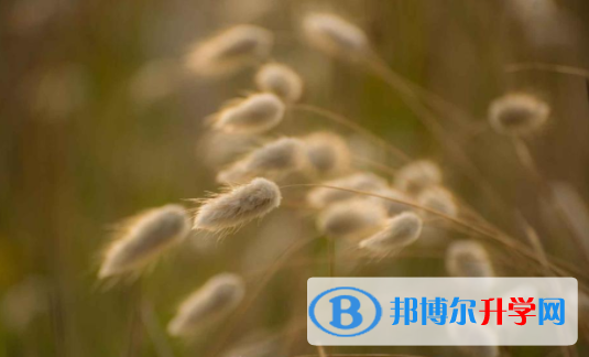 綿陽2021年中考沒考上可以復讀嗎