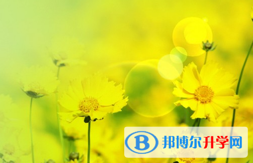 綿陽2021年中考難度