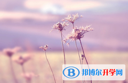綿陽2021年中考體考成績查詢