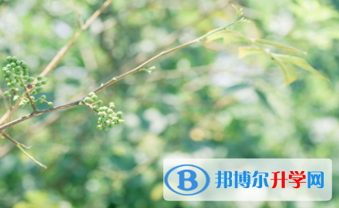 綿陽2021年中考填志愿統招和調劑