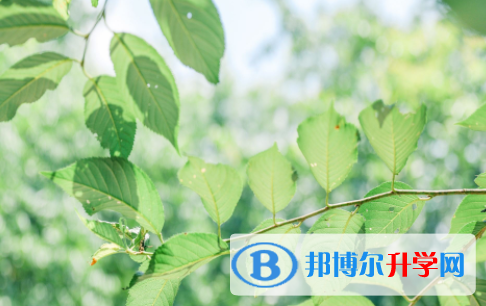 綿陽2021年中考調招