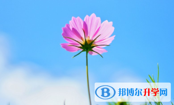 綿陽2021年中考網絡登錄