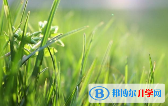 綿陽2021年中考網絡平臺
