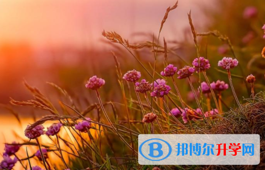 綿陽2021年中考網上報名模擬