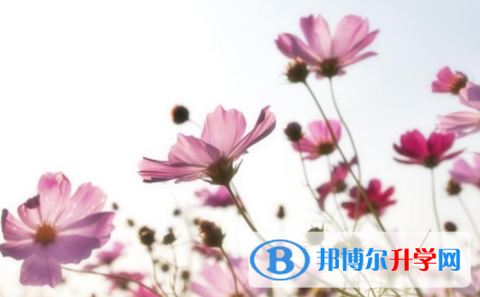 綿陽2021年中考網上報名系統