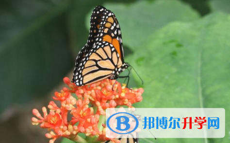 綿陽2021年中考招生辦