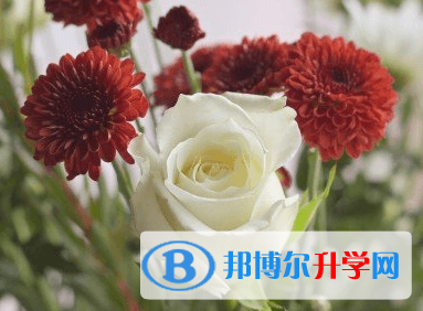 綿陽2021年中考重點線錄取
