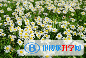 綿陽2021年中考自主招生報名