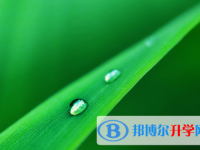 綿陽2021年今年中考統招線包括哪些區域
